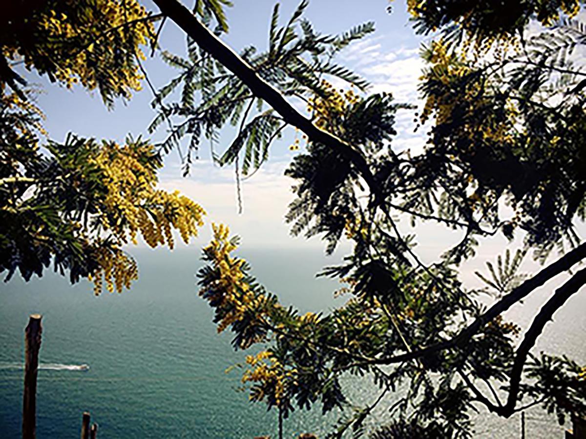 Bed and Breakfast L'Antico Borgo Dei Limoni Amalfi Exterior foto